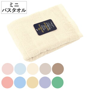 ~joX^I NJ[ 50×100cm i ^I z ʋC 100 ^I  fC[^I ̐@ ^IPbg C Rbg Vv n oXObY j