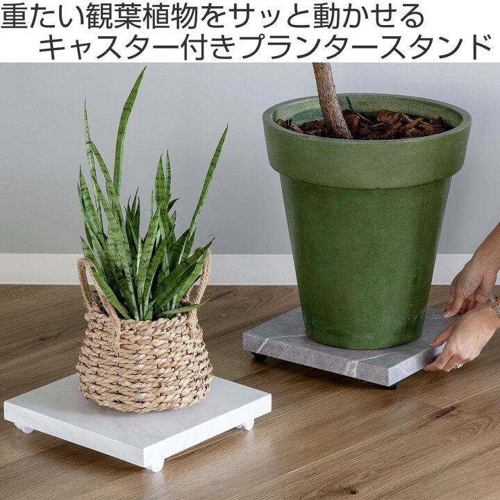 楽天市場】プランタースタンド 大理石調 30cm （ キャスター付き 