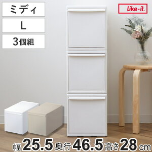 [P[X F3g gݍ킹Ďg[P[X ~fBL i [ vX`bN o 25.5×s46.5×28cm { N[[bg Ԏ[ [{bNX Eߏ Lb` 