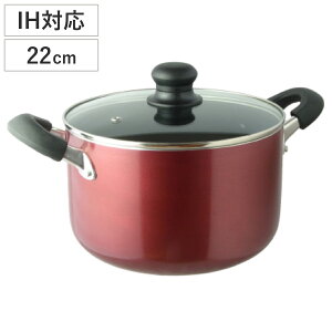  22cm IHΉ LCW[k KXWt i KXΑΉ  pX^p 22Z` Ȃ [^ pX^  A~ Ȃ  t^t Wt tbfH  