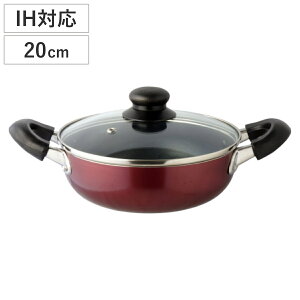  20cm IHΉ LCW[k 葽pr KXWt i KXΑΉ Ȃ  20Z` A~ Ȃ  t^t Wt tbfH  bh  j