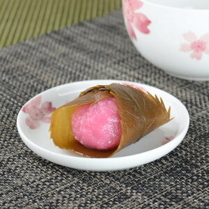 M  ~jv[g 10cm {[`Ci H@Ή i M v[g H  dqWΉ 퐻 j