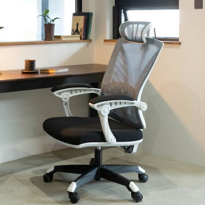 ItBX`FA bV It ~ ʍ41`51cm nCobN^Cv nCG i [N`FA p\R`FA Ch bLO@\ I|  LX^[t `FA CX ItB