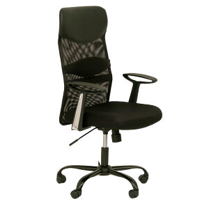 ItBX`FA bV ~ ʍ46`54cm nCobN^Cv WF[ i [N`FA p\R`FA I| fXN`FA T|[gNbVt bLO@\   L