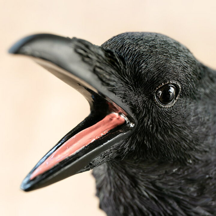 Sale 64 Off カラスバンク 赤 貯金箱 レトロ 紙箱入り 当時物 烏 カラス 昭和レトロ きょうもがんばろう ユニーク 応援メッセージ インテリア 置物 Www Planadenjan Com