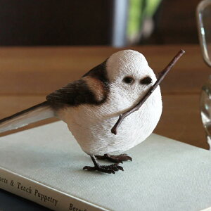 IuWF BIRDIE BILL LONG-TAILED TIT V}GiK }Olbgt i Nbvz_[ u u   Aj} A }Olbg   rO   G I[ig Ce