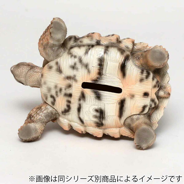 楽天市場】オブジェ インドホシガメ ペットバンク 貯金箱 （ 置物 動物 