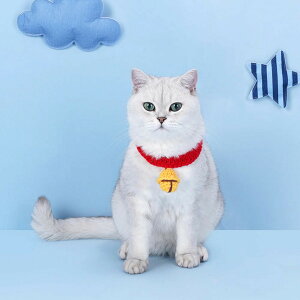  L Tink Scarf i Lp Lp lR 킢  TCY\  􂦂 L L̎ _炩 Rbg ҂ݕ ybgpi j