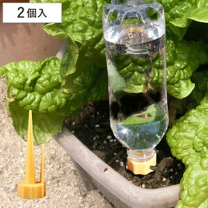 z ܂N 2 i z  蓖    K[fjO | ϗtA   ybg{g GR ChA z 2Zbg j