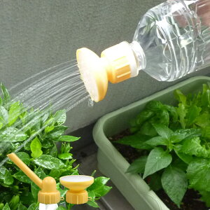 W[ yAN i z  蓖    WE  K[fjO | ϗtA   ybg{g GR ChA z 2Zb