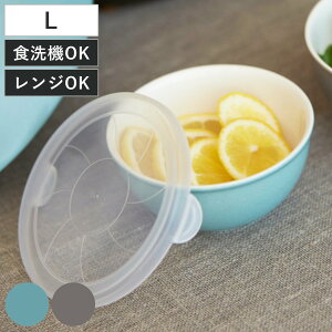 yʃ{E L Wt 550ml dqWΉ H@Ή BOWL WITH LID i  {E   Lb` {[ ϔM  H ۑ e W H@ Lb`c[ LTCY 炦 