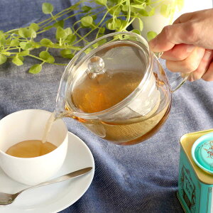 eB[|bg 450ml Ch t ϔMKX |bg i dqWΉ g|bg Xg[i[  eB[T[o[ g KXeB[|bg  pi eB[EFA 