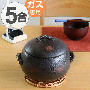鍋 土鍋 5合 日本製 炊飯の人気商品 通販 価格比較 価格 Com