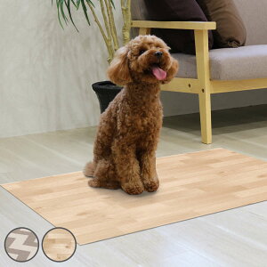 ybgpLhV[g 60cm×90cm i ybg ybg}bg h}bg ybgpi hV[g LV[g Q[W}bg ybggC 􂦂 L@\ @ Hׂڂ ΍ pi 