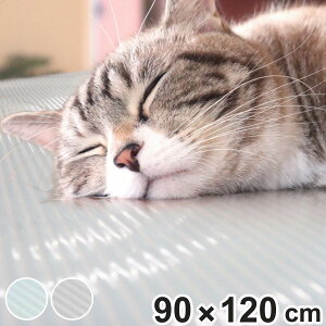 Ђ}bg ybg  L ⊴90cm×120cm i ڐG⊴ }bg V[g Ђ  ybg}bg vCX}bg h 􂦂 L N[}bg hdl L OK ΍ t
