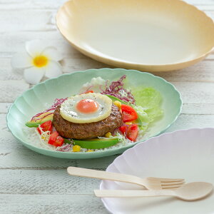 I[o{E 25.5cm t[I[o{E Shell vX`bN i H@Ή dqWΉ J[M pX^M y ɂ AEghA Lv sNjbN ^ Jt T