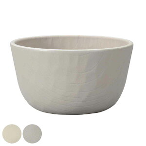 {E 11cm S tottua i H@Ή dqWΉ T_{E VA{E y ɂ qǂpH X[v T_ VA  j