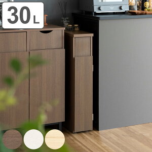 S~ 30L X_Xg{bNX ؖڒ i  ݔ 30bg X 17 ؖ vbV ܌Ȃ  CeA  S~ɌȂ p^ RpNg ȃXy[X L