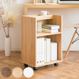 TChbN 2i ؖڒ LX^[t 40cm i fXNS S TChS bN X {I fXN [  i` uE zCg j