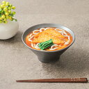 麺鉢 17.5cm M.STYLE 武蔵 ヌードルボウル 磁器 美濃焼 （ 送料無料 食器 和食器 日本製 皿 食洗機対応 電子レンジ対応 中鉢 丸 ラウンド 丼鉢 煮物鉢 ボウル 鉢 丼 サラダ おしゃれ 和モダン 黒 金 ）