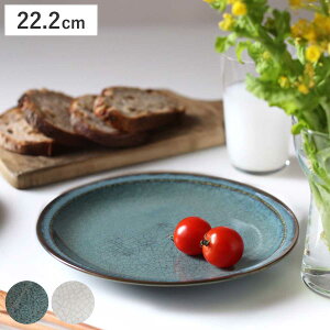 v[g 22.2cm BACAR oJ[  i H@Ή dqWΉ M  M Eh M ICX pX^ J[ v[g  j