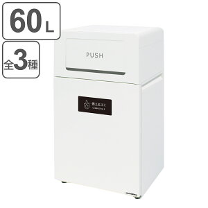 屋外用ゴミ箱 60L 角穴蓋 業務用ダストボックス Bunbetuダストハウス#55 ( 法人限定 送料無料 屋外 屋内 ゴミ箱 60リットル 分別ゴミ箱 分別 ダストボックス 業務用 ごみ箱 分別ごみ箱 ごみばこ