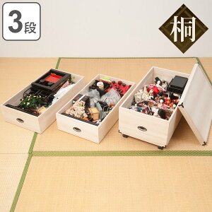 ˎ[ ЂȐl`P[X 3i LX^[t 72.5cm i   [ ߑP[X i  ˈߑ ˈߑP[X [P[X ЂȐl` l` LX^[  j