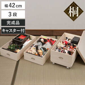  ЂȐl`P[X 42cm 3i LX^[t { i i [P[X l` VR  ؔ [ Ƌ ˔ l ܌l` i ۊ ۑ  h Vv LX^[ j