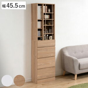 {I 45.5cm eʎ[ ot fBXvC i R~bNbN o 4i RpNg I [I rO[ ֎[ Lb`[  [Ƌ ؖڒ zCg j