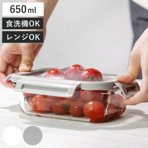 ��NE nikii �ۑ��e�� 650ml �ϔM�K���X�ۑ��e�� �L�т�V���R���W �i �ϔM�K���X �K���X ���� �ۑ� �e�� �K���X�e�� ���e�� �ϔM�e�� �L���j�X�^�[ �L�т�W �V���R���W �H�i�ۑ� �H��@�Ή� 