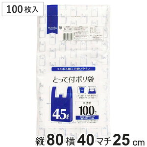 | 45L 100  WobN i W t t G{XH S~ iC }`t gɂ 45bg pi Օi j