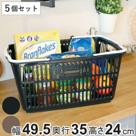 バスケット 収納 エコバスケット 10 買い物かご レジかご 同色5個セット （ カゴ エコバッグ 買い物 かご マイバスケット レジカゴ 屋外 日本製 ショッピング 洗濯カゴ ランドリー アウトドア キャンプ おもちゃ ）