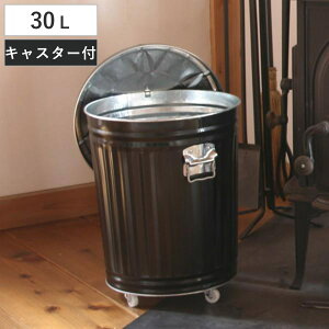 DoPc 30L d D ӂt LX^[t gF S~ obaketsu IoPc i oPc D d D t^t DoPc ybg Wt dXg[u  d [ t