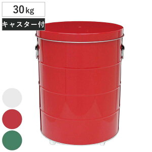 Ăт 30kg LX^[t IoPc OBAKETSU CXXgbJ[ i ğC CX{bNX ߂т  ăXgbJ[ Rrc ē Ď[ ĕۑ 30L vʃJbvt Lb`