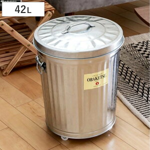 S~ 42L LX^[t IoPc OBAKETSU Op Vo[ ݔ g^ Op i ӂt 42 bg _Xg{bNX ~ oPc^ [ [P[X [{bNX O  ی^ y[