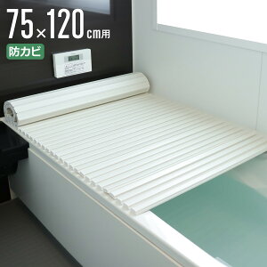 Cӂ Vb^[ |v 75×120cm p L12 i CW Ct^ C ӂ hJr Vb^[^Cv Vb^[Cӂ y  y 75×120 75 120 L-12 j