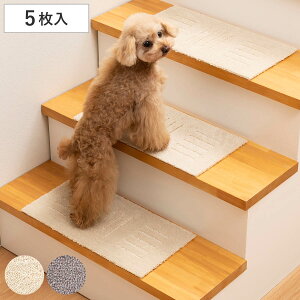 Ki}bg s^yg ~jTCY 22×45 5 ybg h Ȃ i ybg}bg Ki }bg ׂ~ ybgp Kip 􂦂 z  L z}bg u YȂ Sy 