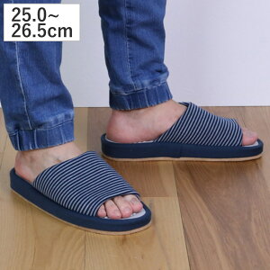 Xbp \tgwV[RtH[g LTCY i [V[Y [Xbp  NXbp NT_  Y jp ~ OJ ܂  c{ 