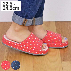 Xbp }`hbgRtH[g MTCY i [V[Y [Xbp ᔽ    OJ fB[X [T_ p  ɂ Lb` Ǝ 