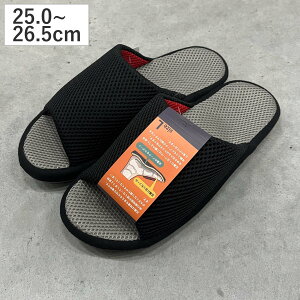 Xbp ANeBubV 25.0`26.5cm i [V[Y [Xbp bV ėp p  OJ O S Vv  T_ qp Ɩp  j