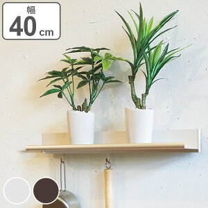 CVFt I tbNt 40cm fBXvCI i EH[VFt ǖʃbN I Ǌ| ǖ EH[bN VFt bN fBXvCbN fBXvC [ ݂邷 Lb