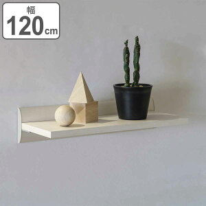 VFt 120cm [W ǖʎ[ i  EH[VFt bN  ǖ [ I Ǖt [bN I fBXvCbN [I EH[bN [ rO[ ؖڒ