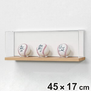 RNVP[X 45×17cm u|p L^ tBMA L400 i P[X AN {bNX [ fBXvC ۊ  I  ǖ 2way [P[X [{bNX I fBXvCbN 