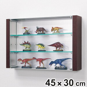 RNVP[X 45×30cm u|p 3i tBMA L4010 i P[X AN {bNX [ fBXvC ۊ  I I  2way I  ǖ [P[X [{bNX I 