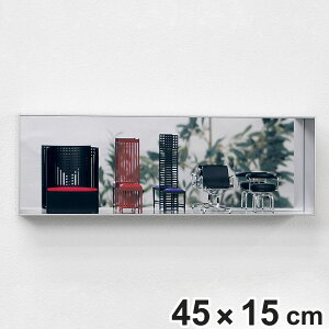 RNVP[X 45×15cm u|p NA tBMA L402 i P[X AN {bNX [ fBXvC ۊ  I wʃ~[  2way I[v  ǖ [P[X [{bNX 
