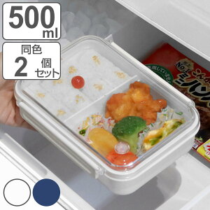 お弁当箱 1段 まるごと冷凍弁当 500ml 2個セット タイトボックス ( 弁当箱 作り置き レンジ対応 食洗機対応 冷凍 一段 仕切り付き 保存容器 レンジOK 食洗機OK 作りおき お弁当 弁当 保存 容器