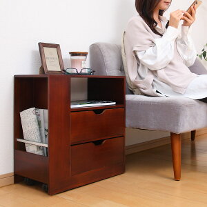 TChe[u 47cm ؐ \t@TChS y i S LX^[  [ bN o TChS EbhTChS LX^[t fXNS rO fXN