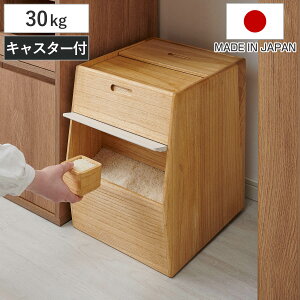 Ăт 30kg KIRISAI ˂̂ߟC i  VR {  ꍇt LX^[t ğC CXXgbJ[ ۑe   [ ۑ v CX{bNX XgbN{bNX e ˔ h