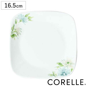 v[g 16.5cm XNGA R[ CORELLE tFA[t[ i H@Ή dqWΉ I[uΉ M  M M ϔM H M pM P[LM M fU[gM ԕ mH