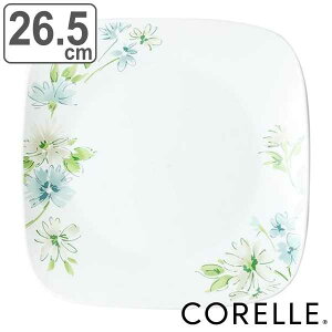v[g 26.5cm XNGA R[ CORELLE tFA[t[ i H@Ή dqWΉ I[uΉ M  M pM M ϔM H M pX^M C  v[g 